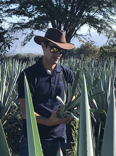 José Valdez agave