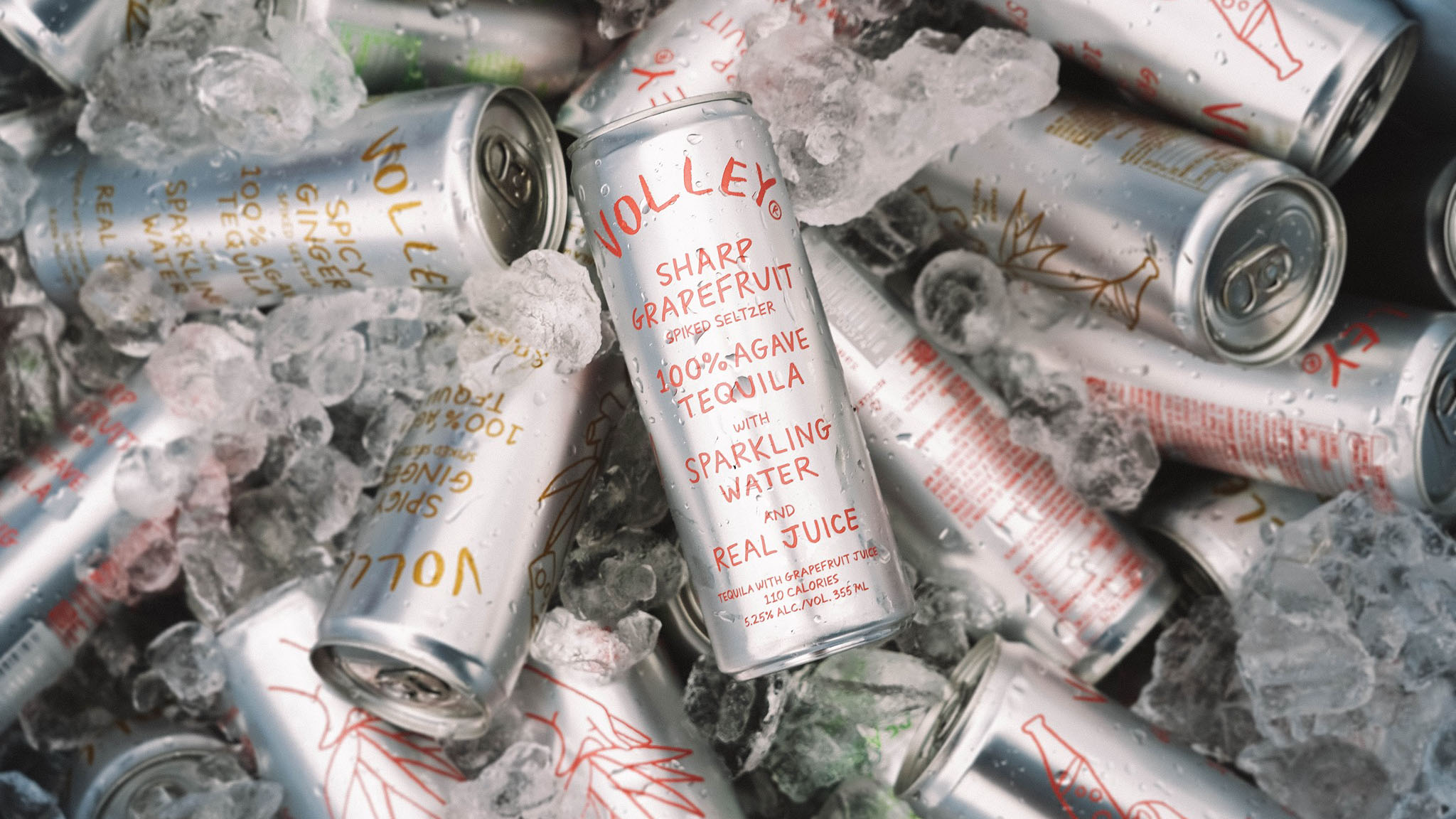 Volley Hard Seltzer Feature