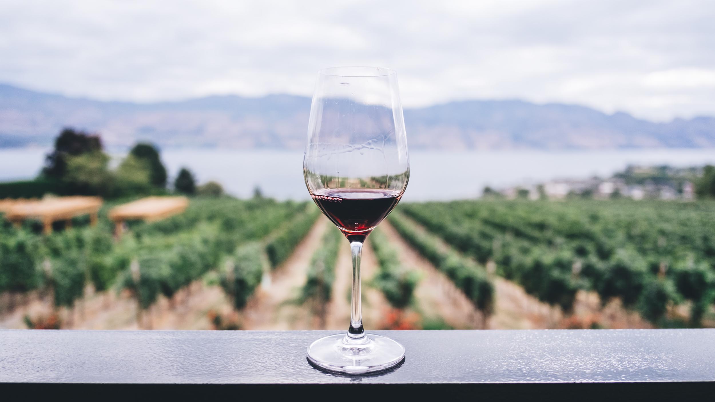 Drinking Red Wine Helps Lower Blood Pressure, Say Scientists