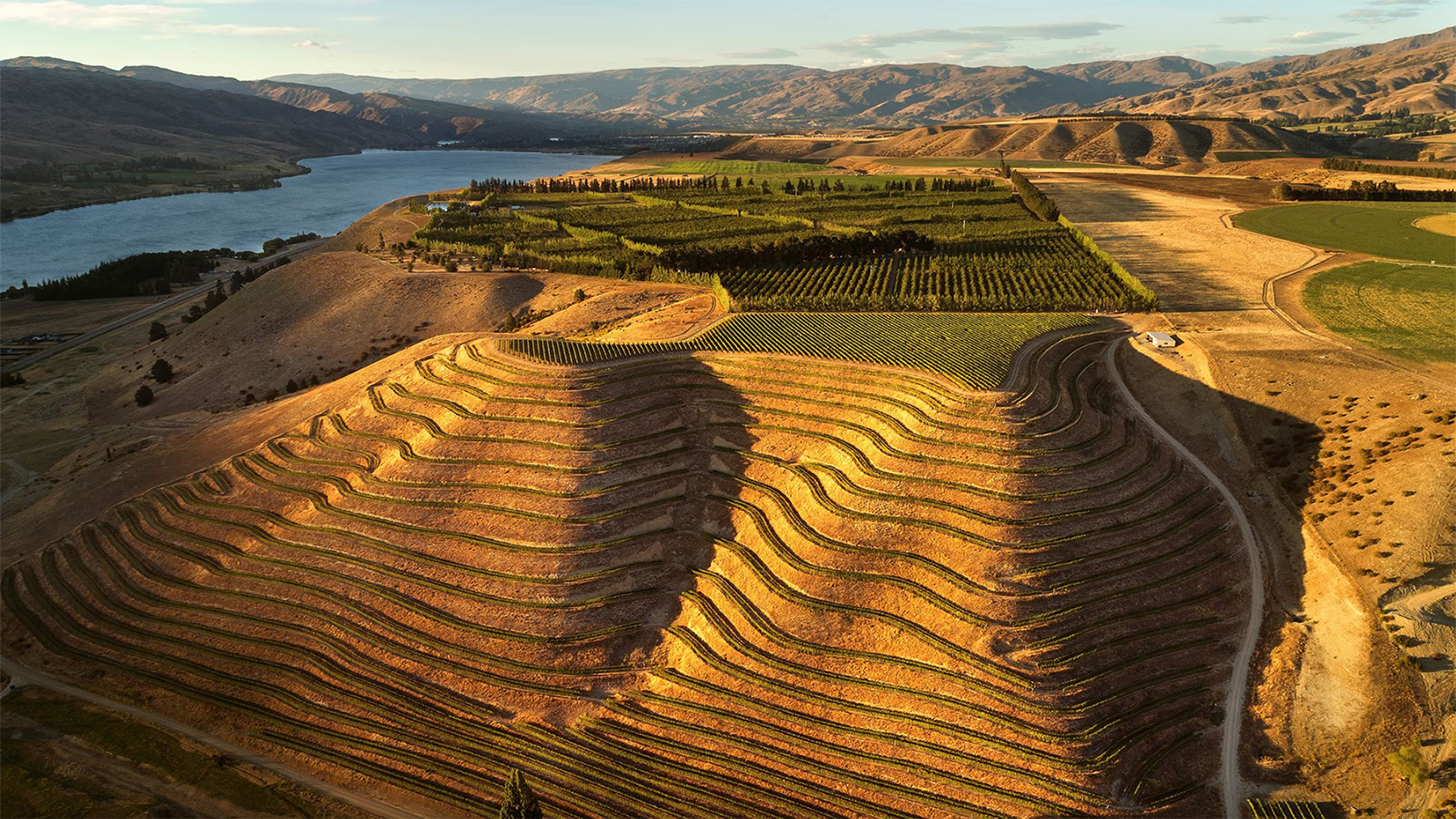 Rothschild To Acquire New Zealand Winery Akarua
